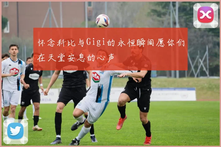 怀念科比与Gigi的永恒瞬间愿你们在天堂安息的心声